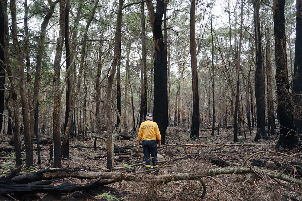 New South Wales rural fire captain Danny King stands at the place he was weeks earlier, when two fires merged. The wind kicked up, King said. 