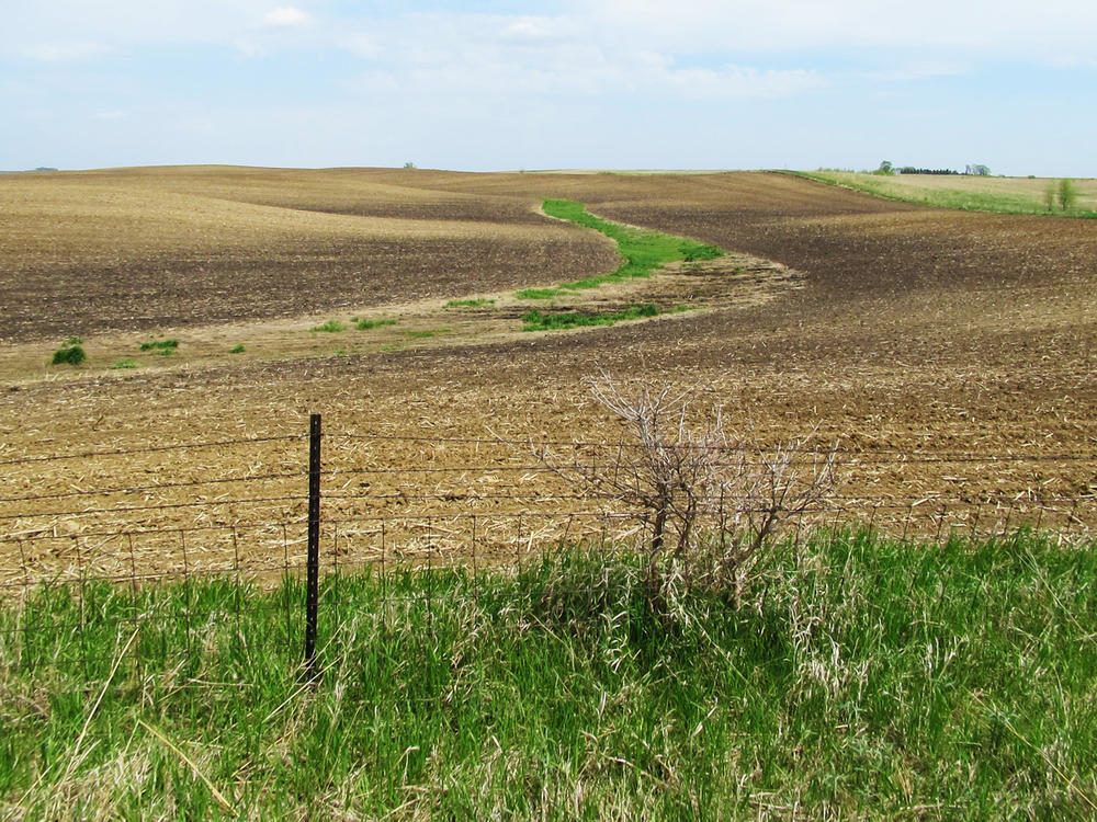 Soil on hilltops in this photo is lighter in color, revealing a loss of fertile topsoil.