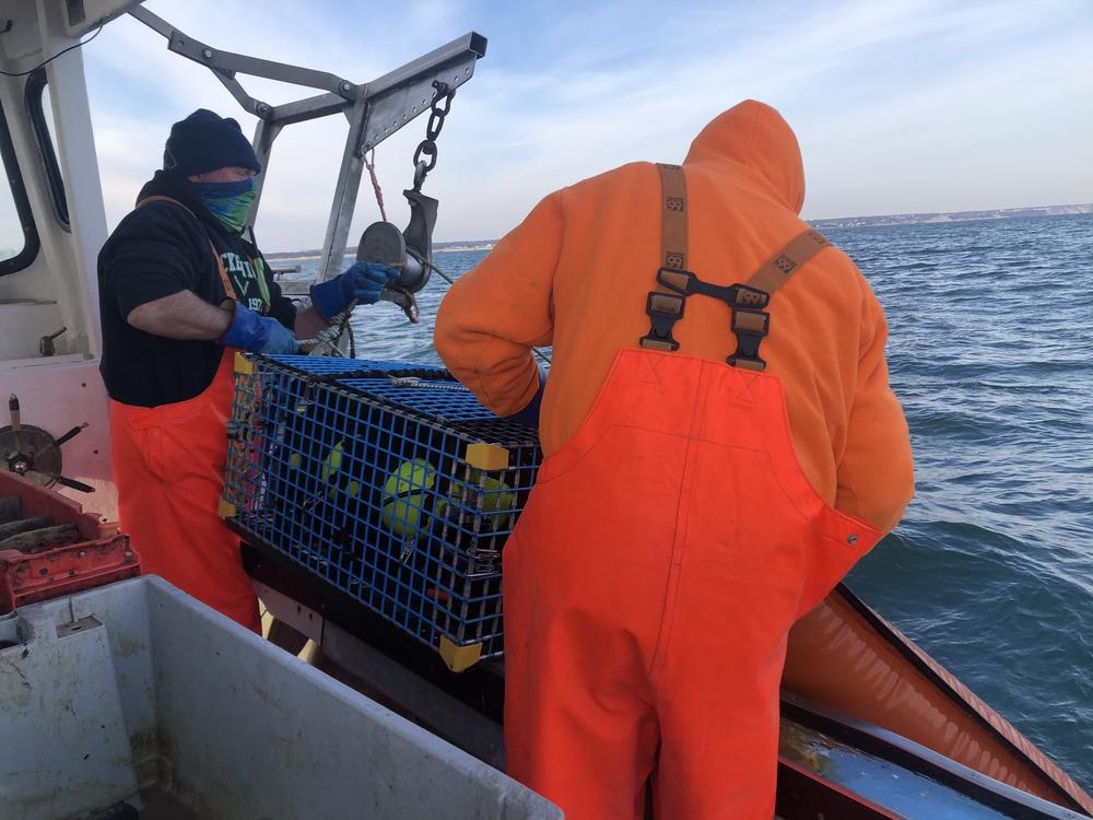 Rob Martin, who has been fishing off his boat for the last 29 years, and his partner haul up a 150-pound end trap while ropeless lobster fishing in Cape Cod Bay in Massachusetts.