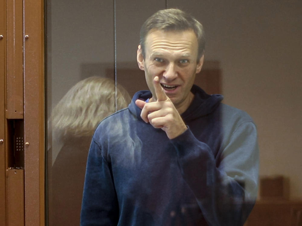 In a photo taken last week at Babushkinsky District Court, Russian opposition leader Alexei Navalny gestures during a hearing.