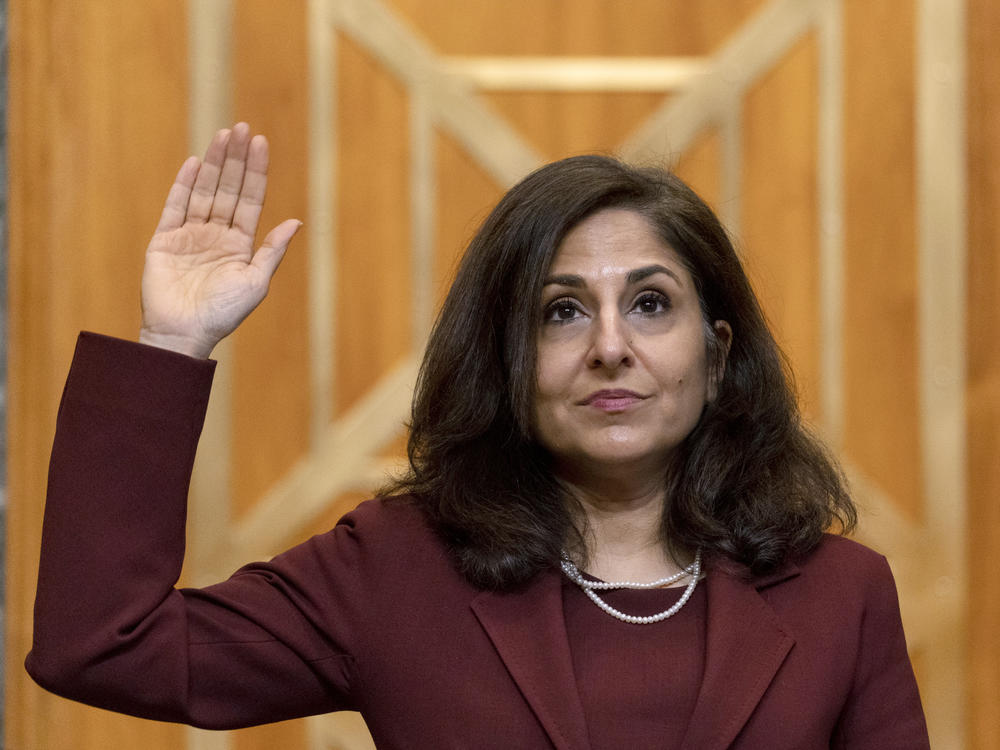 Neera Tanden, nominee for director of the Office of Management and Budget, is sworn in to testify during a Senate hearing.