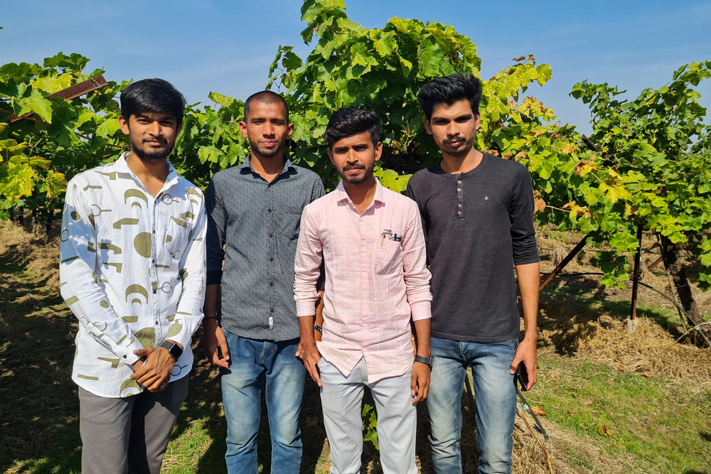 Grape farmer Abhishek Sanjay Shalke (left) and his friends started selling directly to customers on social media when wholesale markets closed due to the coronavirus last year.