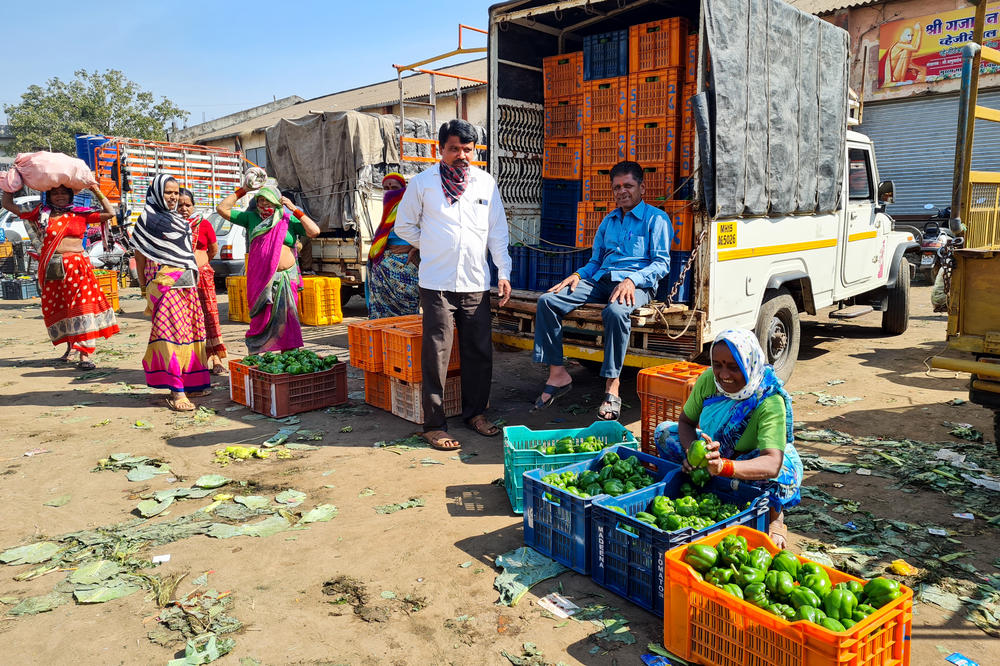 Tomato and bell pepper farmer Ambadas Sanap (white shirt) says he's never had the kind of government support enjoyed by northern Indians protesting in New Delhi. Above, he stands with farmers in the western Indian town of Nashik, waiting for auctions to begin at a wholesale vegetable market where traders bid for baskets of green bell pepper and bales of cauliflower.
