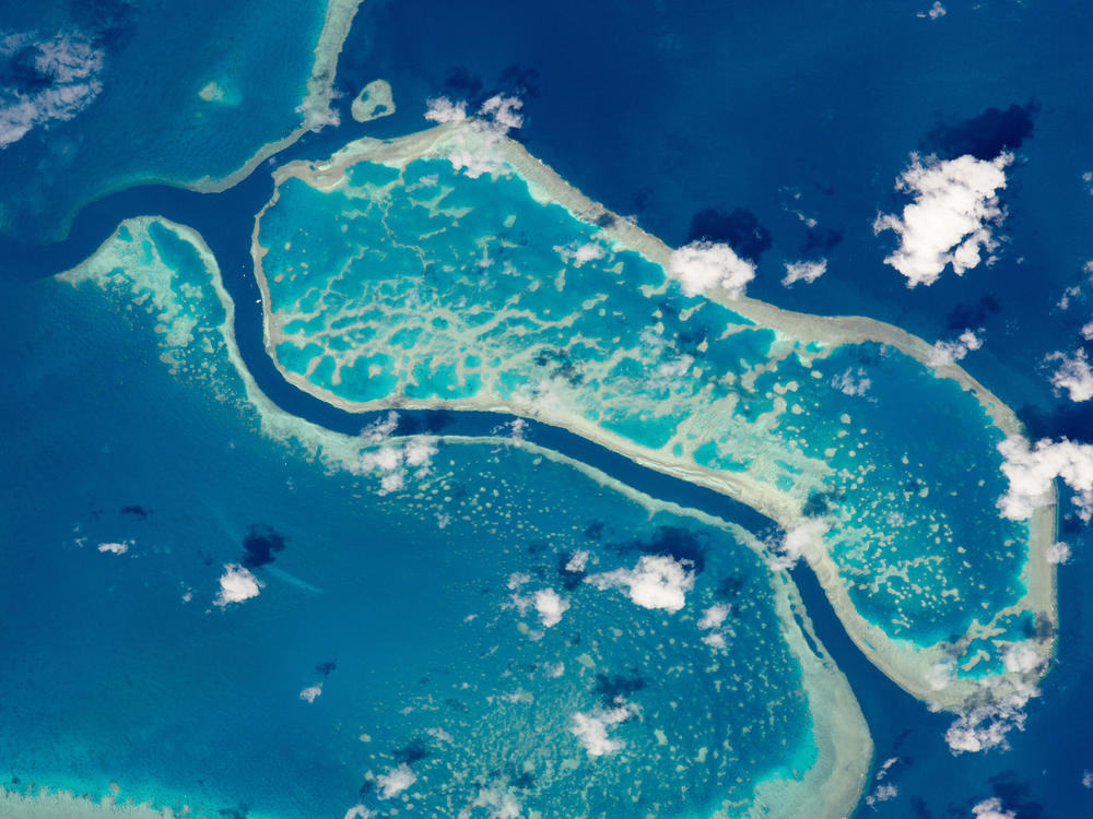 A portion of Australia's Great Barrier Reef photographed from the International Space Station. The Flinders Reef area of the Great Barrier Reef is one of 11 sites around the world where scientists are looking for decisive geological evidence of a new epoch called the anthropocene.