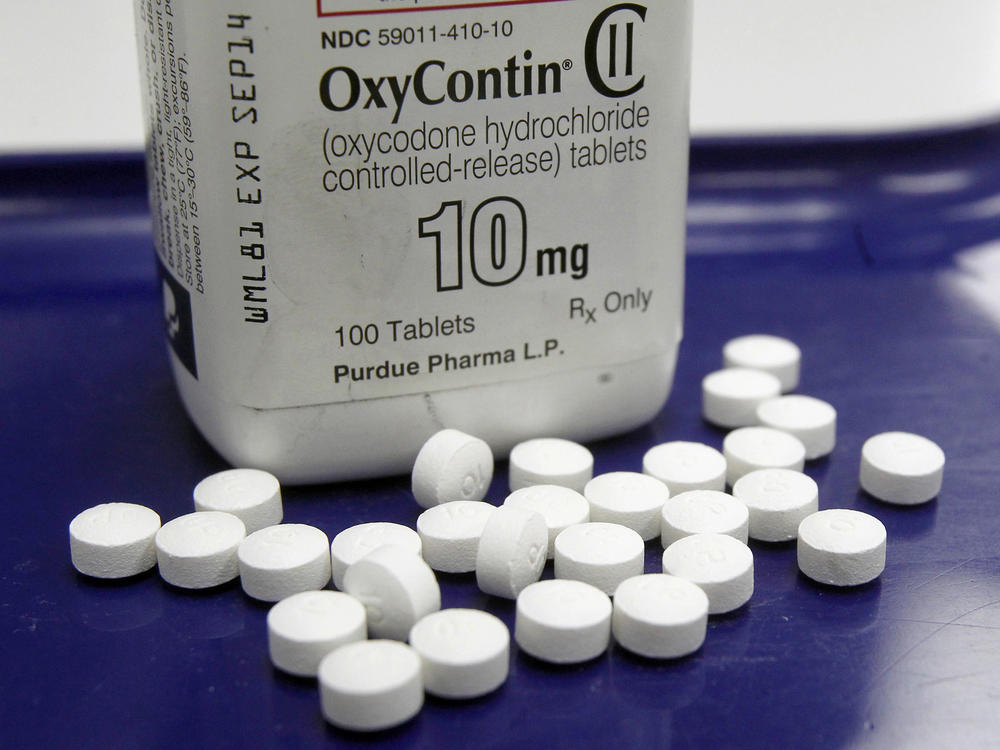 OxyContin pills arranged at a pharmacy in Montpelier, Vt. Purdue Pharma makes the highly addictive drug.