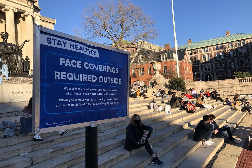 Students attend classes remotely on their laptops while lounging in the sun on the steps of Low Library at Columbia University.
