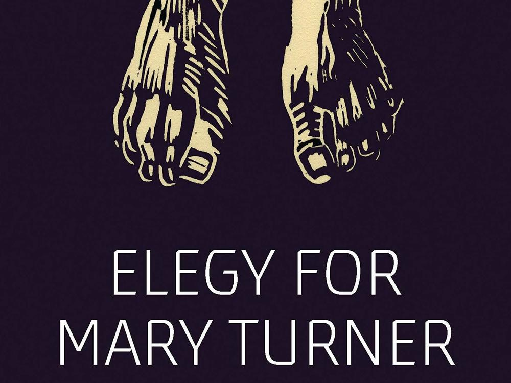 <em>Elegy for Mary Turner: An Illustrated Account of a Lynching,</em> by Rachel Marie-Crane Williams