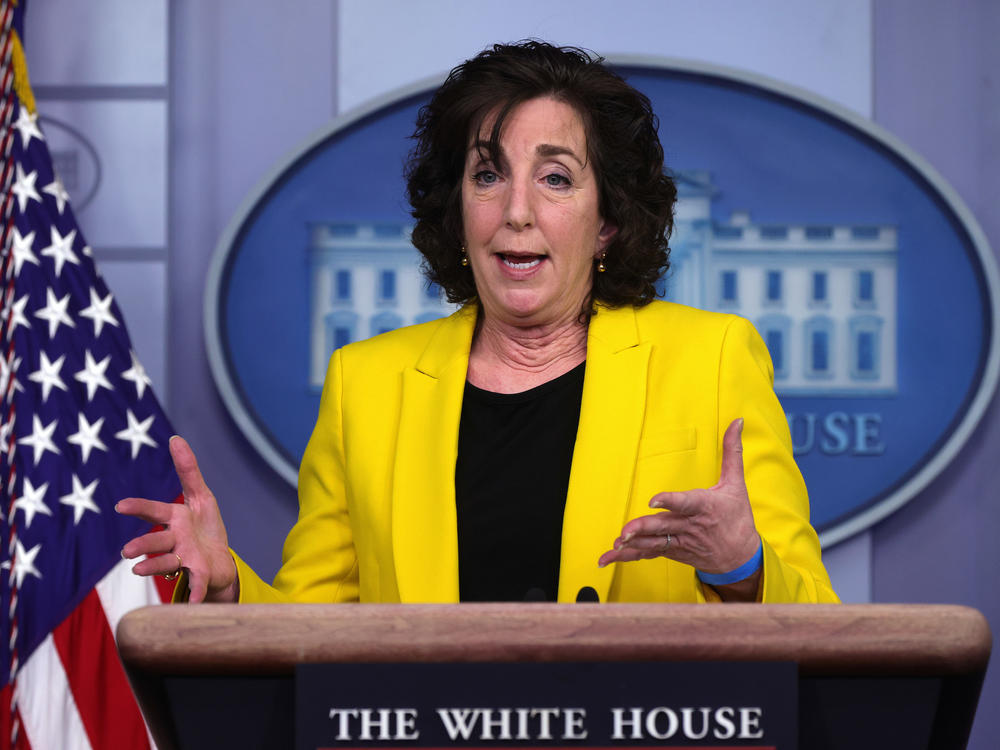Roberta Jacobson, the White House coordinator for the southern border, addresses migration issues during a daily press briefing this month.