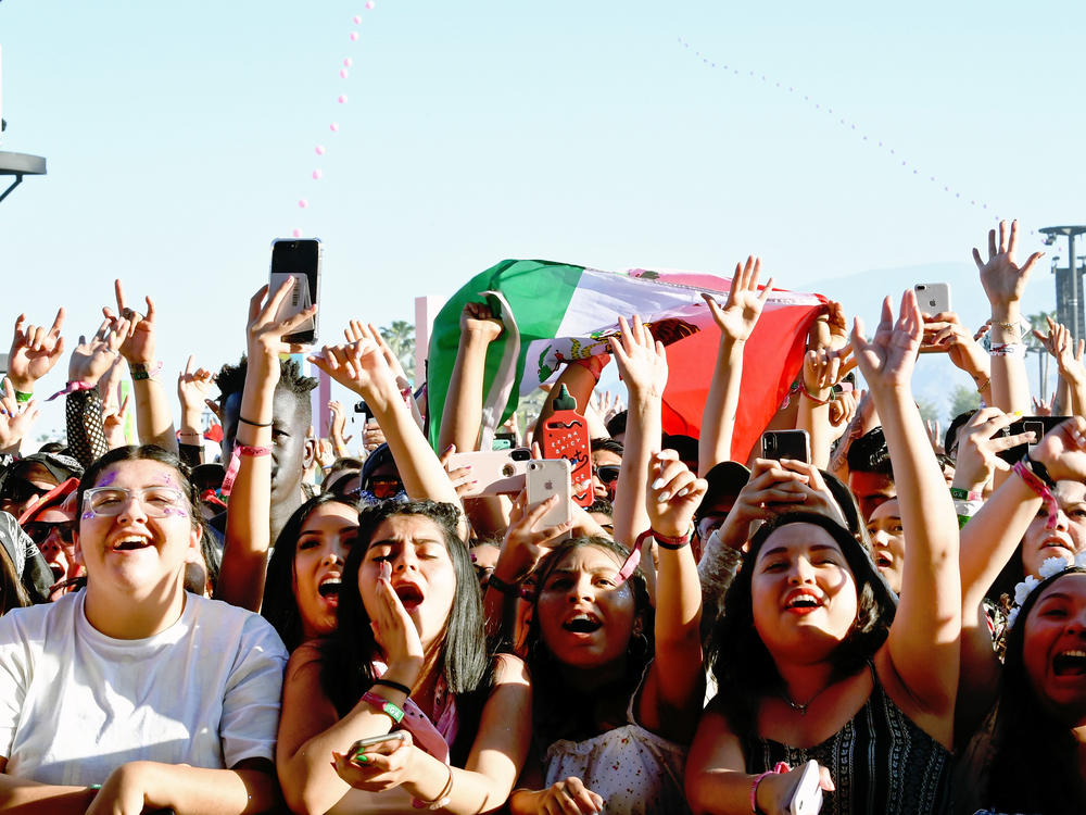 Some concert organizers are hoping to bring back festivals this year. Above, a shot of the crowd at Coachella 2019.