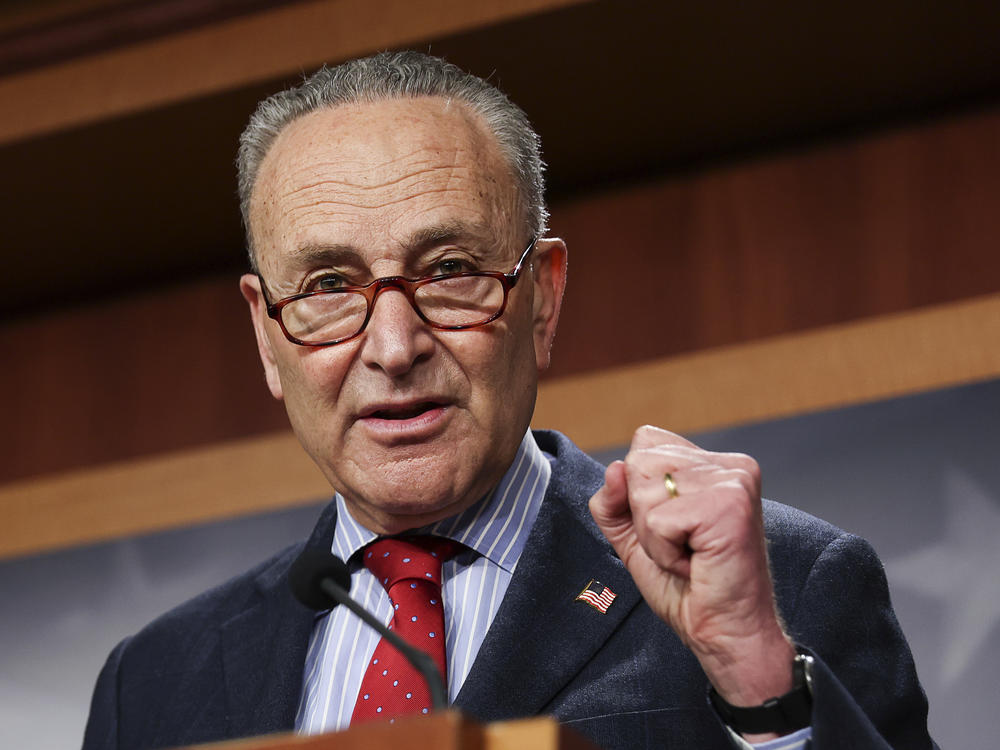 Senate Majority Leader Chuck Schumer, D-N.Y., speaks to the media on March 25.