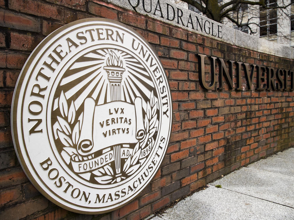 Steve Waithe, who worked as a track and field coach at Northeastern University from October 2018 to February 2019, was arrested Wednesday on charges of wire fraud and cyberstalking.