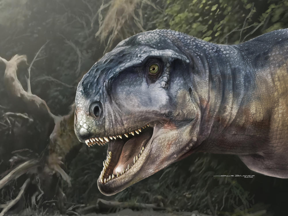 An artist's impression of the Cretaceous Period meat-eating dinosaur Llukalkan aliocranianus that lived about 80 million years ago in the Patagonia region of Argentina is seen in this handout photo.