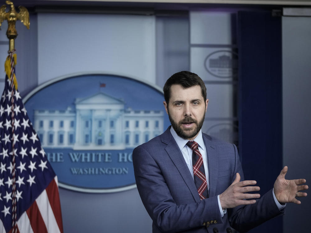 Brian Deese, director of the White House National Economic Council, speaks to reporters at the White House Monday about the American Families Plan.