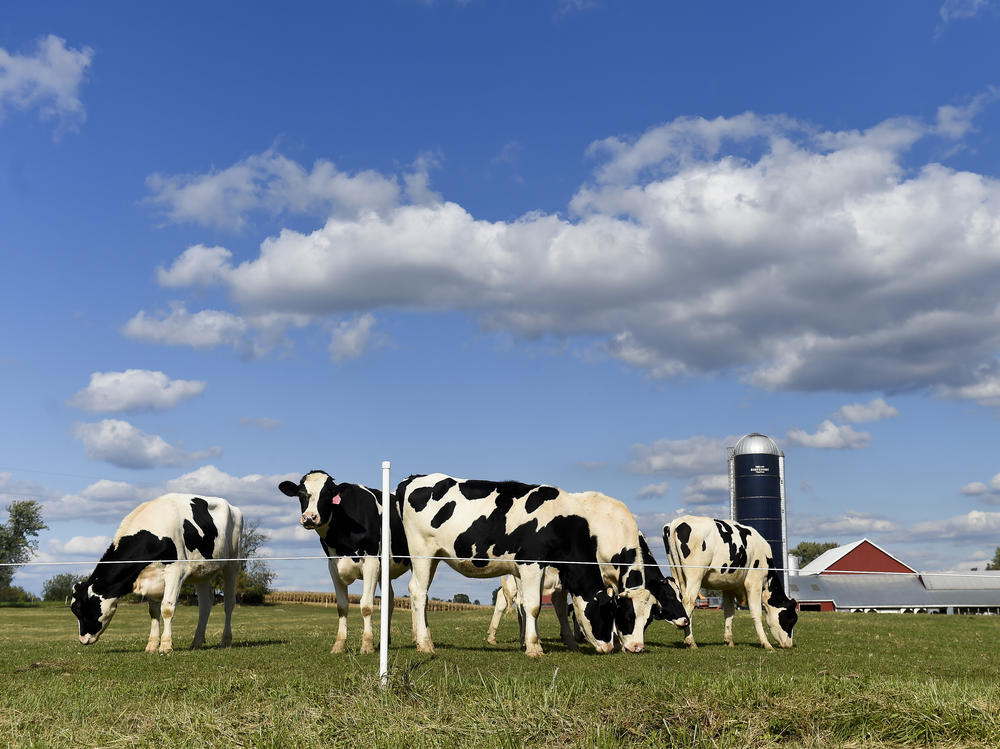 Digital food magazine Epicurious has announced it will stop publishing new recipes featuring beef in an effort to promote more sustainable cooking.