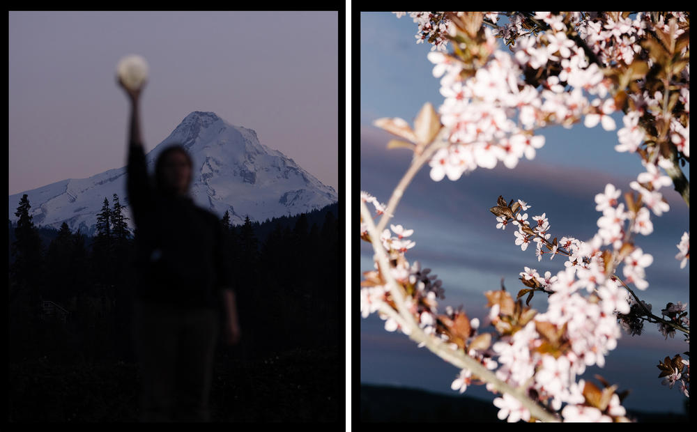 Almost three years ago, Will Matsuda started a series of photographs inspired by a 200-year-old Japanese card game called hanafuda, which translates to 