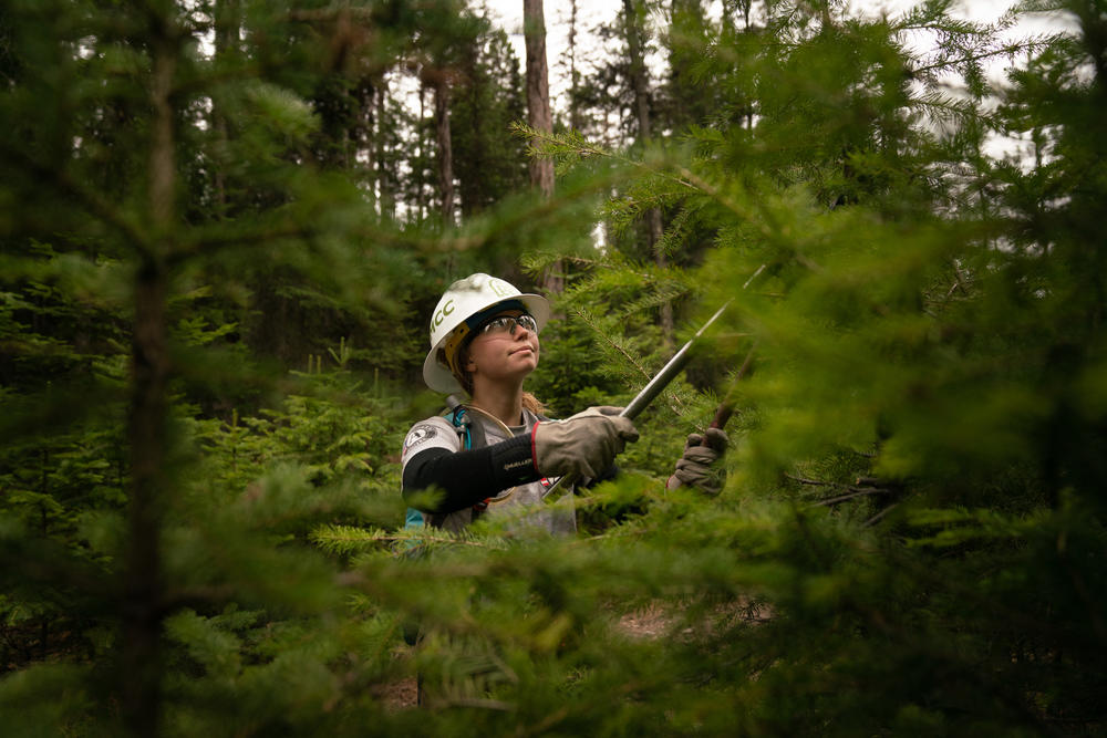 Kaile Kimball works on trails near Tally Lake with the Montana Conservation Corps.