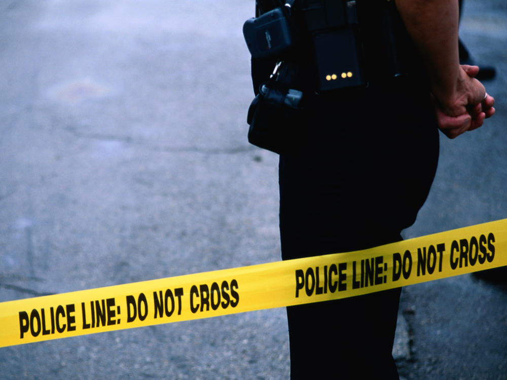After the murder conviction of Derek Chauvin, Black police officers in America are considering what's changed and what hasn't in the year since George Floyd's death.