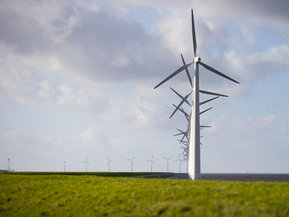 A new International Energy Agency report on climate change calls for halting approval of all new coal power plants this year. Here, wind turbines are seen on a dike near Urk, Netherlands, in January.