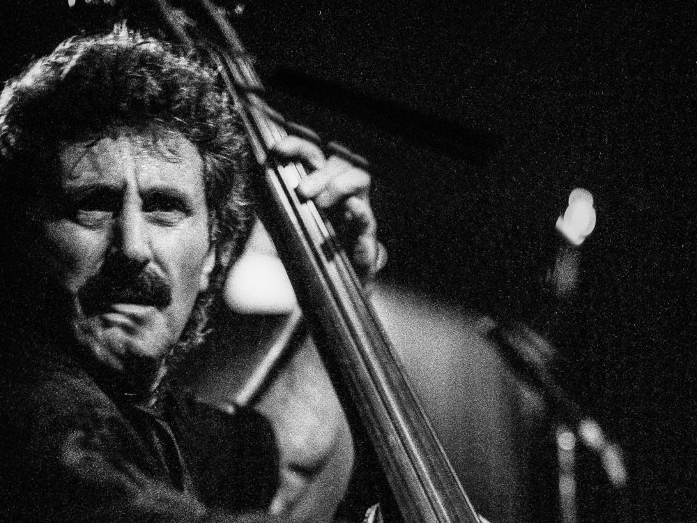 Mario Pavone, performing during the What Is Jazz? festival in New York on June 12, 1994.