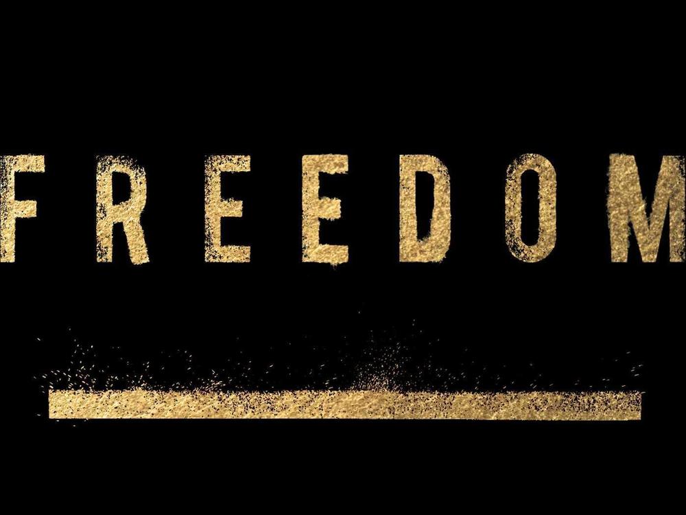 <em>Freedom,</em> by Sebastian Junger
