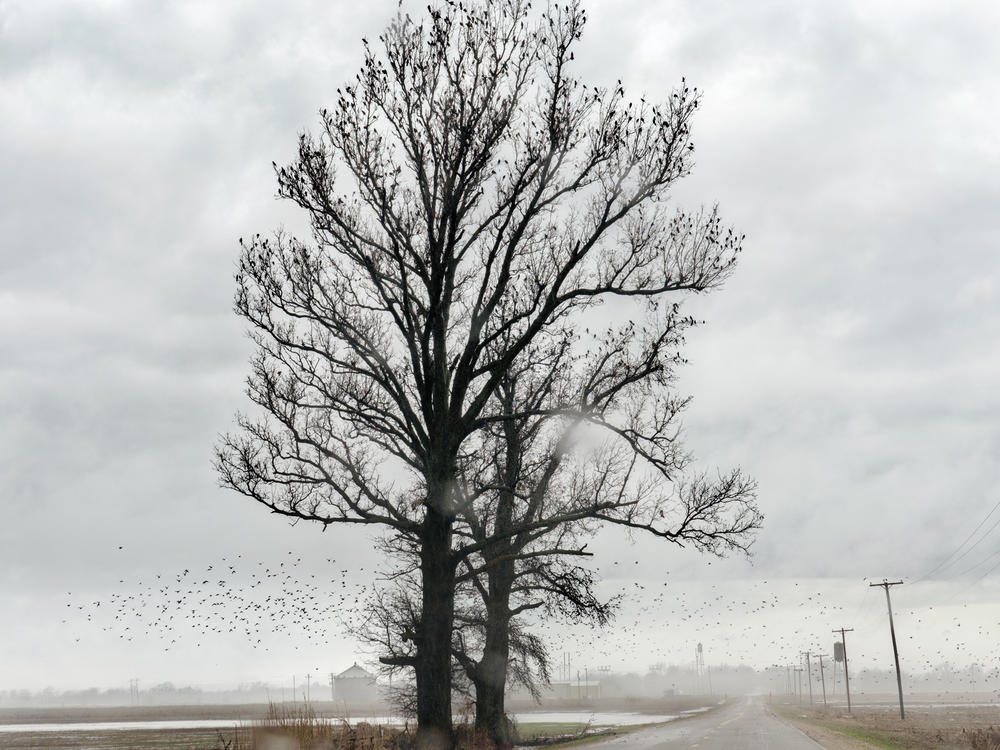 Rte. 42 in Twist, Ark., is one of many towns that comprise the Arkansas Delta. Photographer Eugene Richards noticed a migration from the area. 