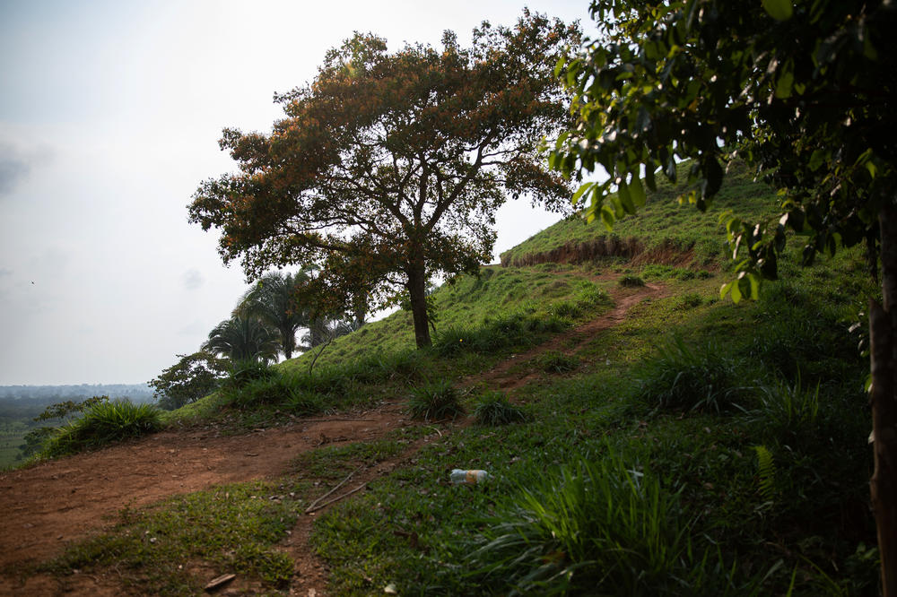 A footpath winds toward farms nestled against the edge of Honduran territory where local smugglers cross migrants into Guatemala.