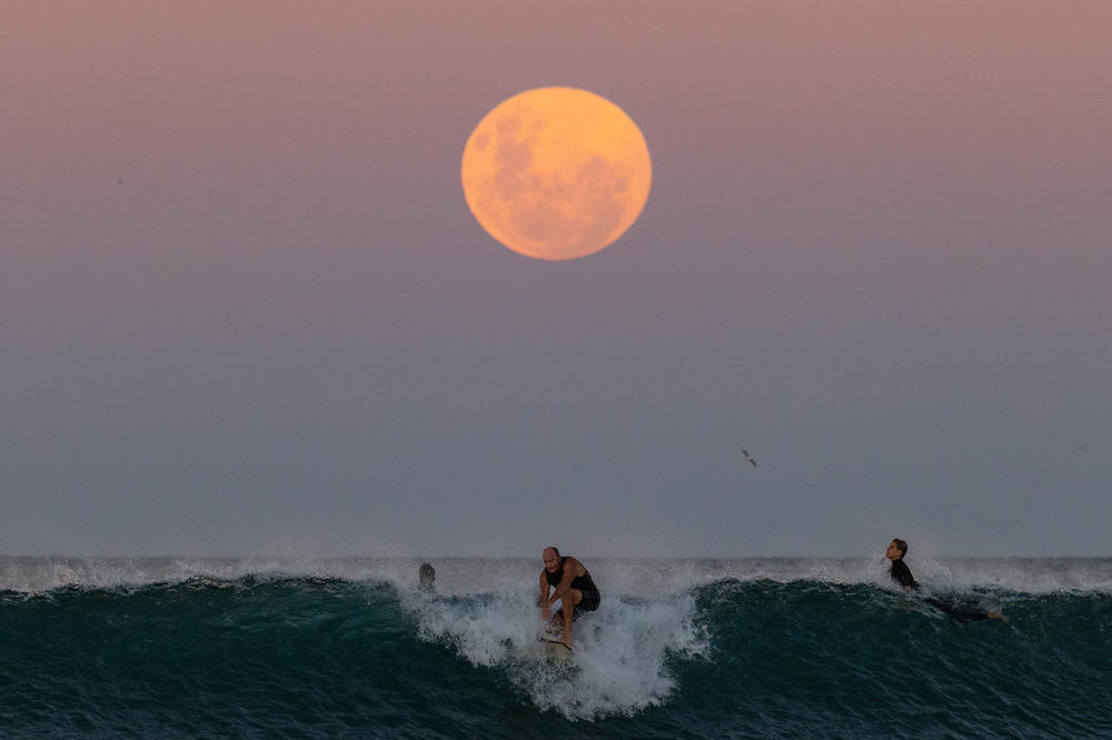 A surfer rides a wave Wednesday as a supermoon rises above the horizon at Manly Beach in Sydney.