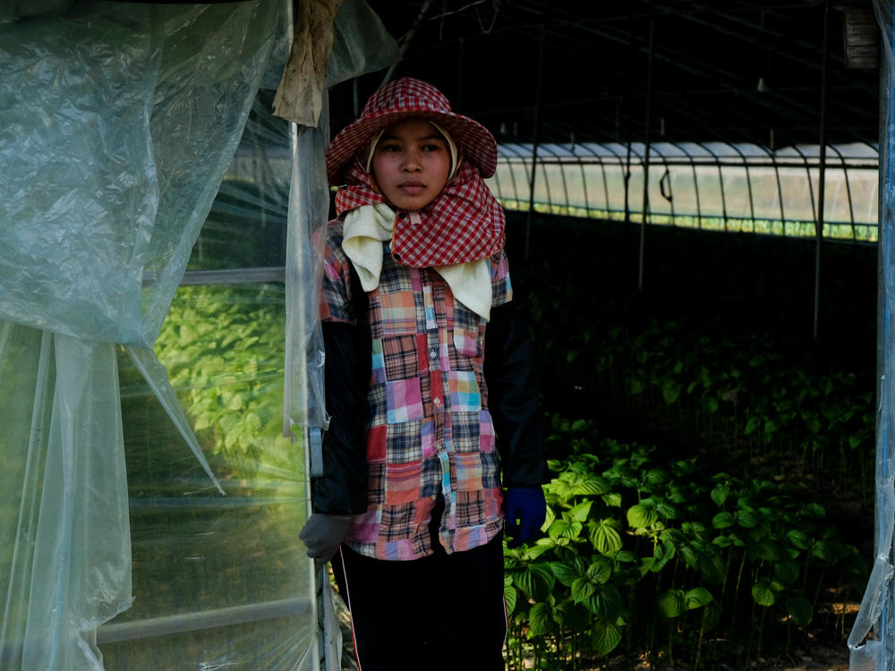 A Cambodian migrant farm worker stands outside the greenhouse where she works growing vegetables in Miryang, South Korea.