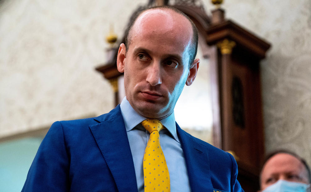 Steph­en Mille­r, pictured here in 2020 in his role as Trump White House adviser, has formed a group that is vowing to fight to protect Trump-like laws in court.
