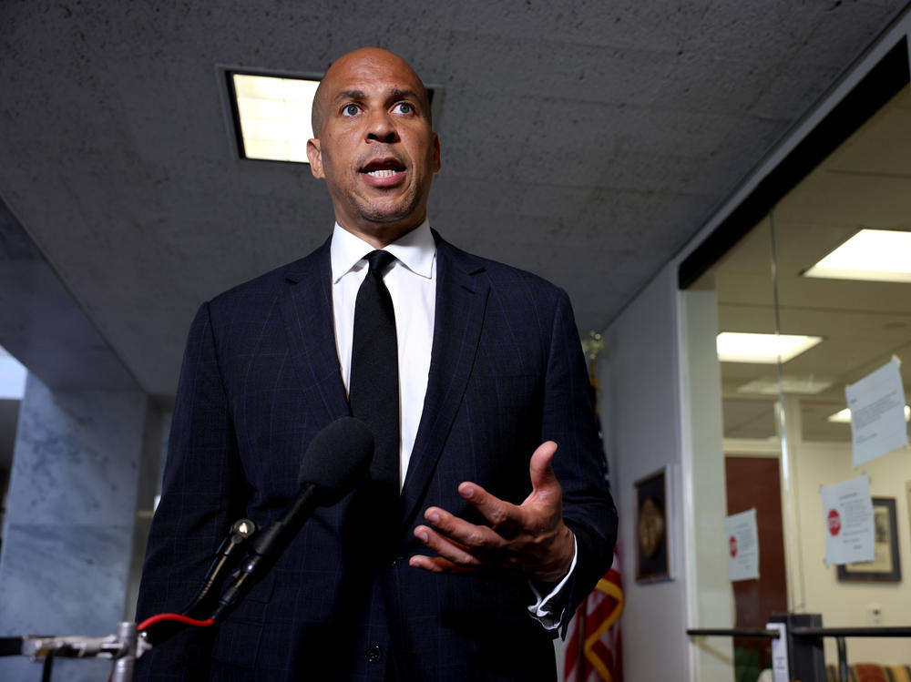 Democratic senators, led by Cory Booker of New Jersey, say they worry about how Google's products and policies may perpetuate bias.