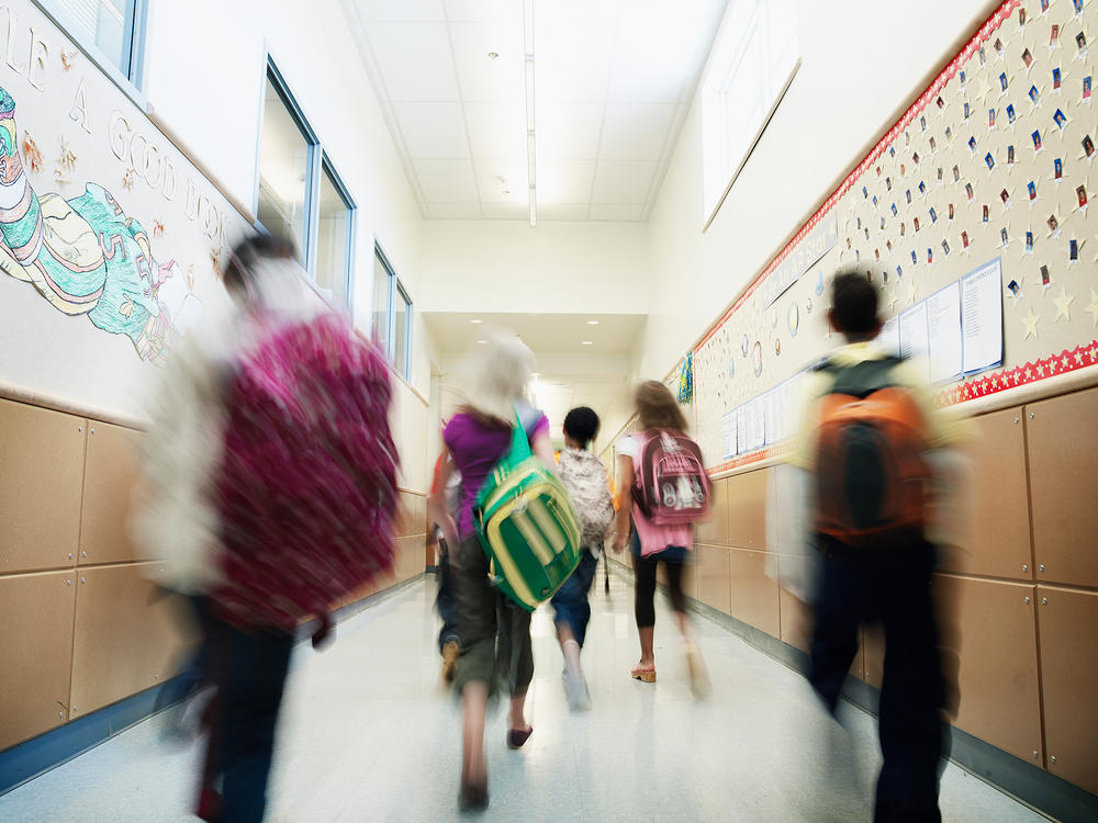A proposed policy being considered by the Loudon County School Board in Virginia would require school staff to use a student's name and pronouns outside their legal names if the student or their parent or guardian requests it.