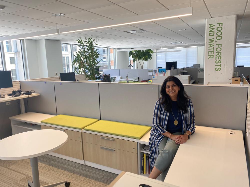Renuka Iyer, chief human resources officer for the World Resources Institute, sits in an empty office. The environmental nonprofit's staff has been working remotely since March 2020.