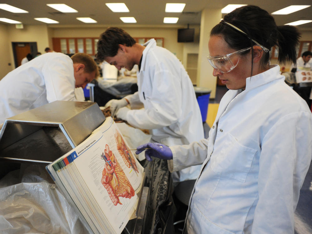 In this 2009 photo, Stephen Cox (left), Mike Forte (center), and Maria Gallo (right), all medical students then, were busy studying a cadaver in the lab at Rocky Vista University's Parker, Colo., campus. Rocky Vista, a for-profit institution, last month received the green light for an accredited satellite campus in Billings, Mont.