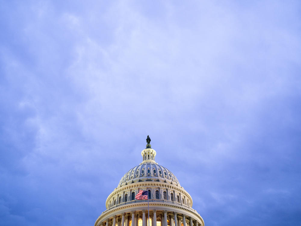 The U.S. Capitol is seen on April 29.