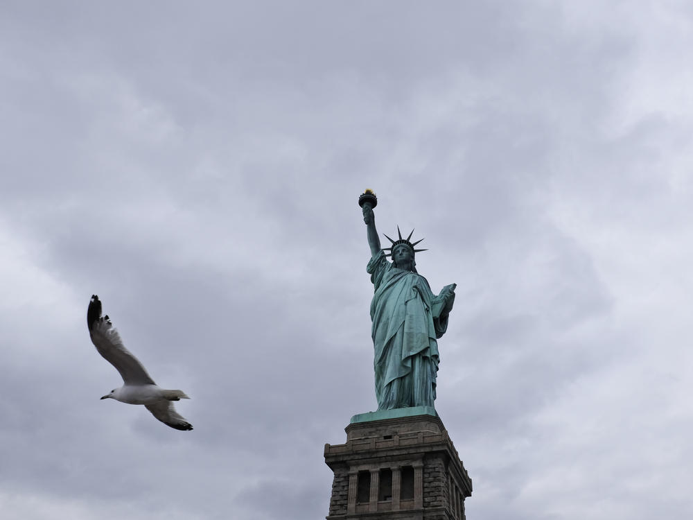 A seagull flies past the Statue of Liberty on Liberty Island on April 8, 2016. A smaller replica of Lady Liberty will soon be erected across from the original on Ellis Island.