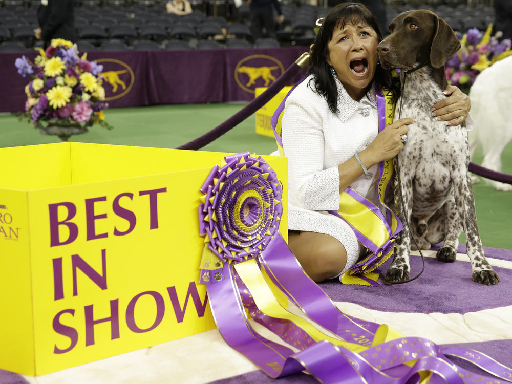 Valerie Nunes-Atkinson and CJ, a German shorthaired pointer, pose for photographers after CJ won best in show at the 140th Westminster Kennel Club Dog Show.