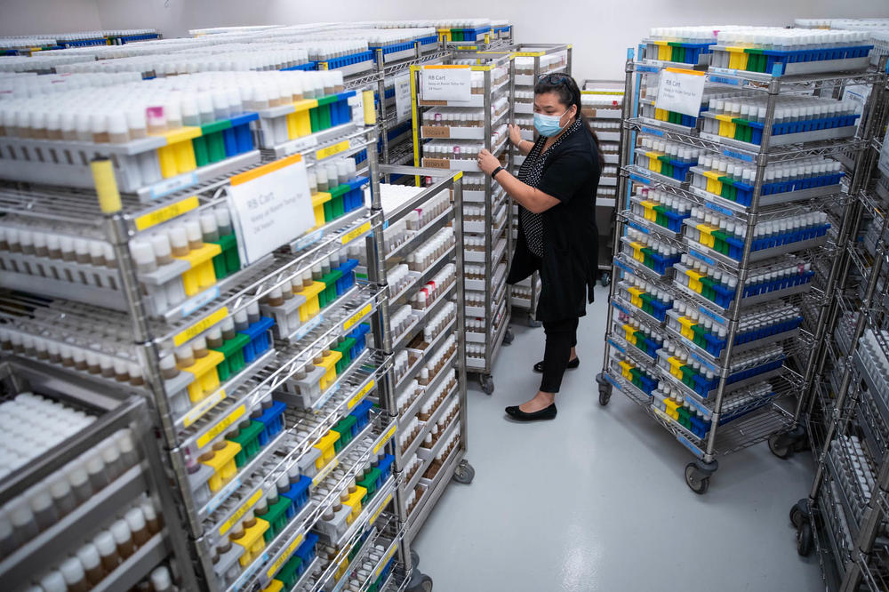Amanda Cavallaro's job is to keep 40,000 different strains of fruit flies alive. She was among a small number of Janelia employees who never stopped coming in to work in the pandemic.