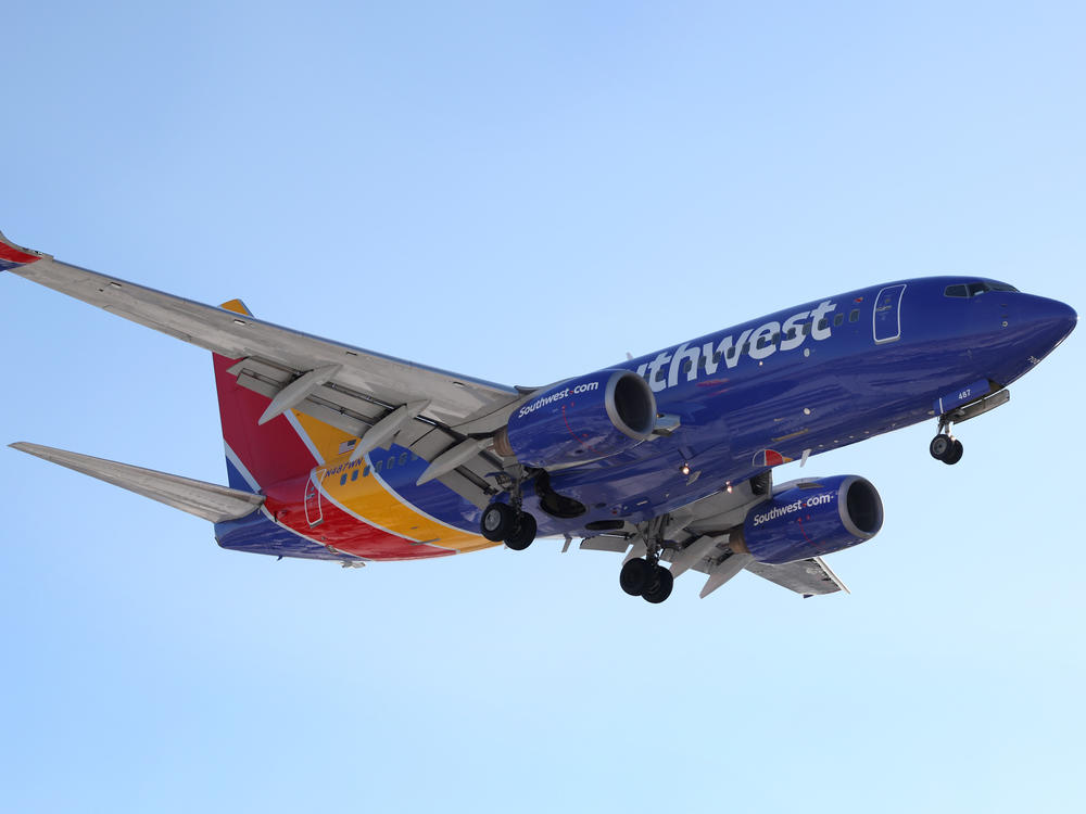A systemwide outage Monday night affected Southwest Airlines flights across the country.