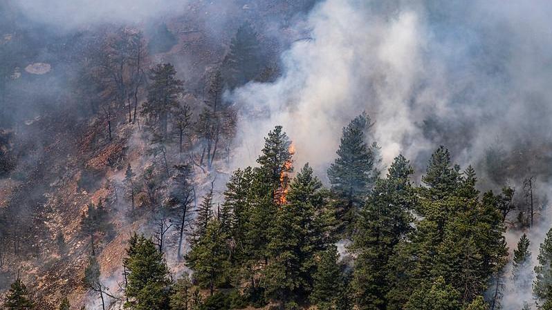An aerial view of the Crooked Creek Fire 25 miles east of Bridger, Mont.