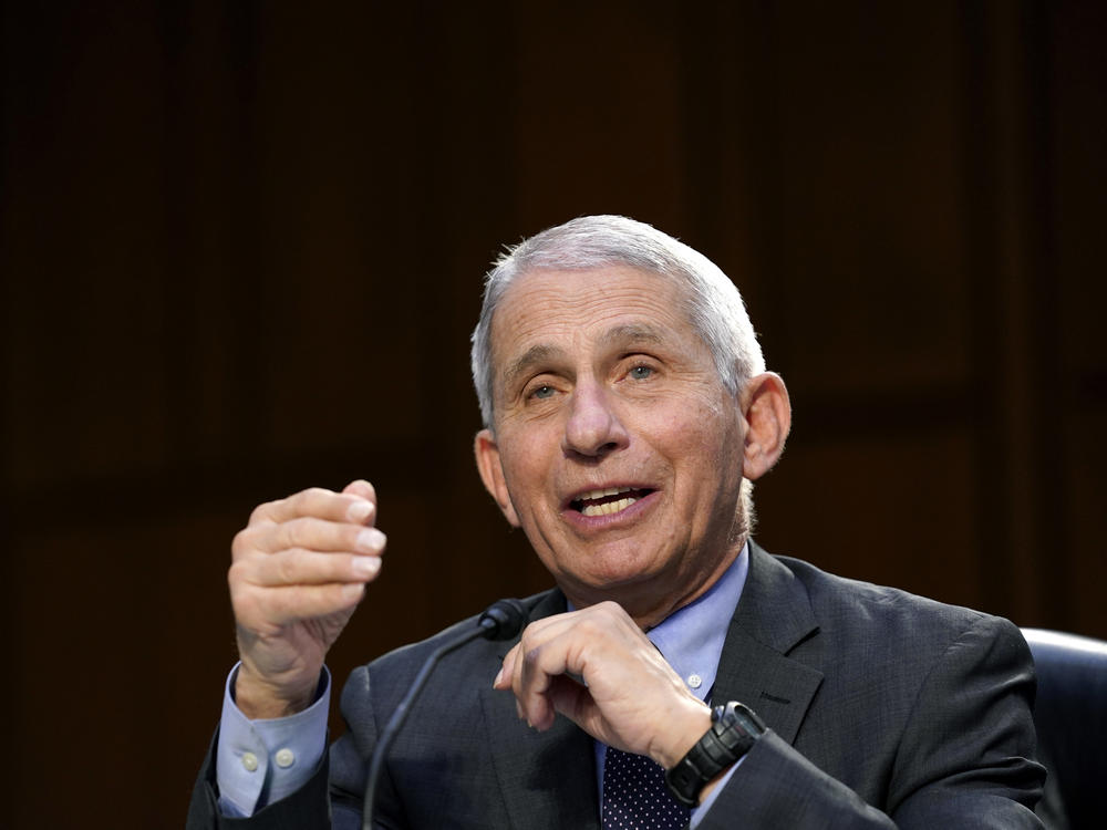 In this March 18, 2021 file photo, Dr. Anthony Fauci testifies during a Senate Health, Education, Labor and Pensions Committee hearing.