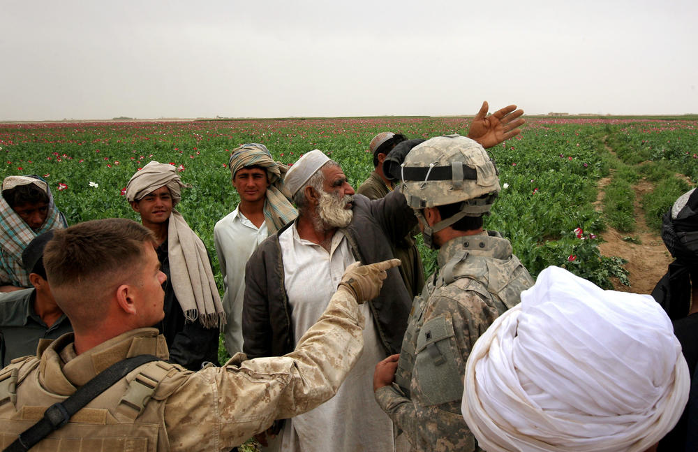 An opium farmer shows damaged poppies to U.S. Marines and their interpreter near Qalanderabad in southwest Afghanistan in 2009.