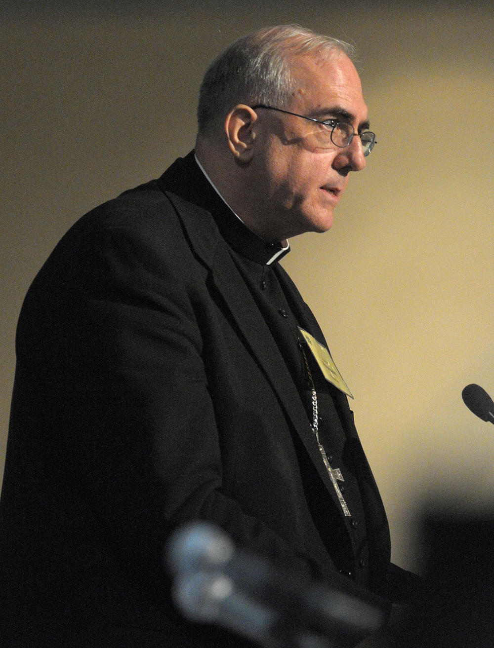 Archbishop Joseph Naumann, of Kansas City, presents a report on stem-cell research during the general meeting of the U.S. Conference of Catholic Bishops in Orlando, Fla., Thursday, June 12, 2008.