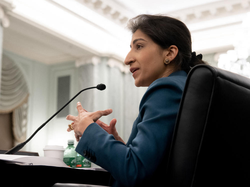 Federal Trade Commission chair Lina Khan is one of the most prominent progressive voices calling for more aggressive curbs on the dominance of big companies.