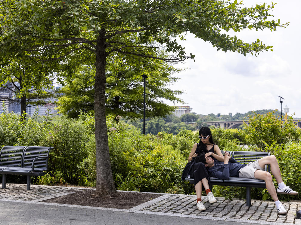 People relax at the Georgetown Waterfront Park on Monday in Washington, D.C. While pandemic restrictions have been lifted for much of the country, the Delta variant of COVID-19 is hospitalizing thousands of people in the U.S. who have so far not gotten a vaccine.