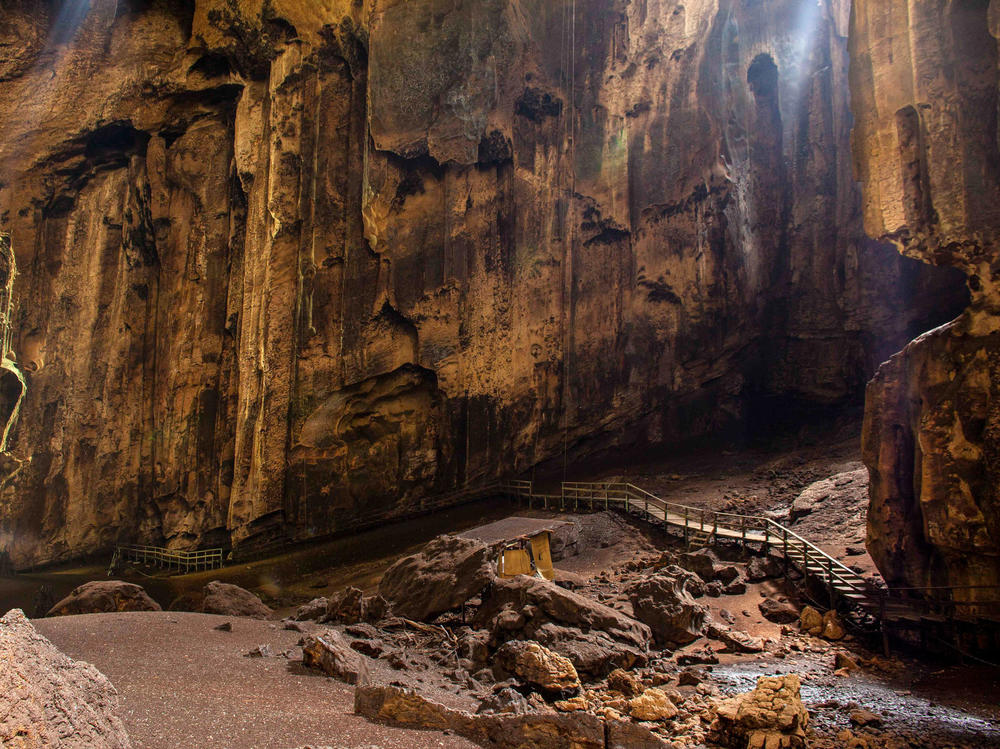 Dark, dank and secluded, the Gomantong Cave is a four-star hotel for bats.