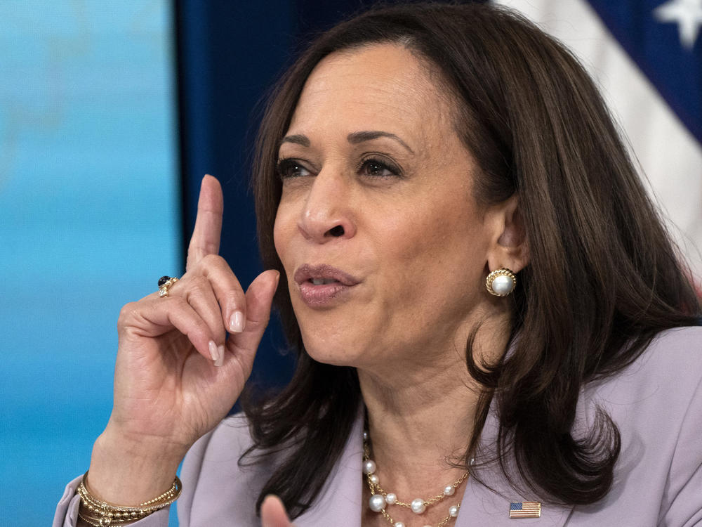 Vice President Harris speaks about voting rights at the White House complex on June 23. President Biden tapped her to lead the administration's efforts on the issue.