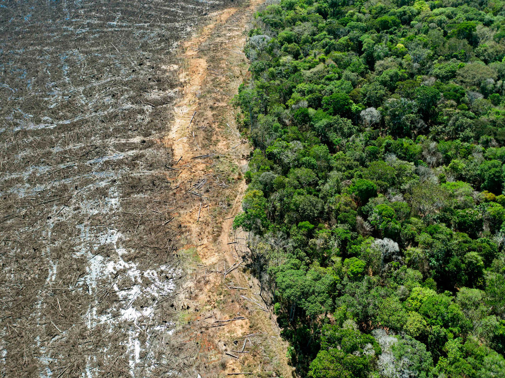 Aerial picture of a deforested area close to Sinop, Mato Grosso State, Brazil, taken on August 7, 2020. Mato Grosso is one of the leading producers of soybeans in the world.