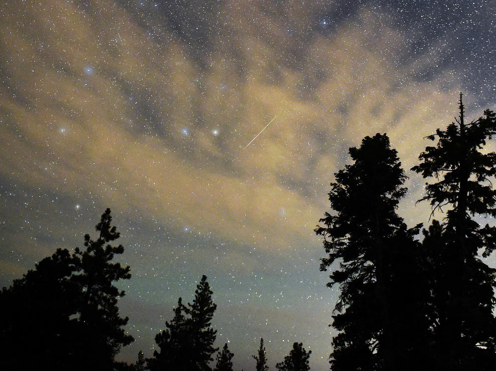 A Perseid meteor streaks across the sky above desert pine trees in the Spring Mountains National Recreation Area, Nevada. The annual display, known as the Perseid shower because the meteors appear to radiate from the constellation Perseus in the northeastern sky, is a result of Earth's orbit passing through debris from the comet Swift-Tuttle.