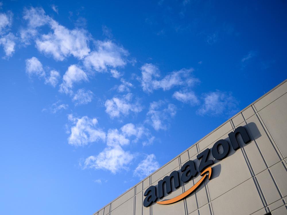 The Consumer Product Safety Commission has sued Amazon to pressure the retail giant to recall hundreds of thousands of potentially hazardous products.