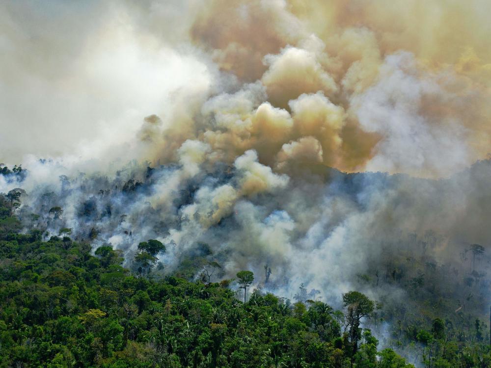 Aerial view of a burning area of Amazon rainforest reserve, south of Novo Progresso in Para state, on Aug. 16, 2020.